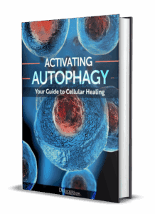 Activating Autophagy: Your Guide To Cellular Healing
