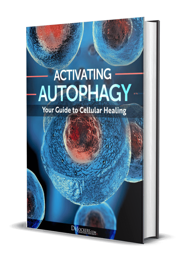 Activating Autophagy: Your Guide To Cellular Healing