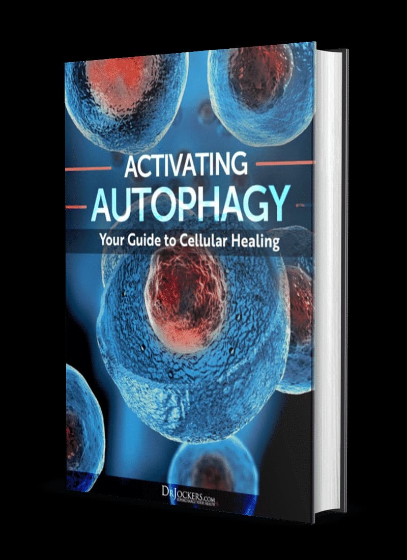 Activating Autophagy: Your Guide To Cellular Healing