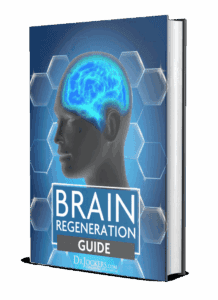Brain Regeneration Guide