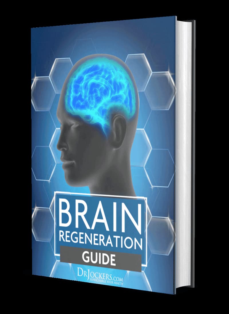 Brain Regeneration Guide