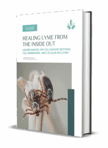 Healing Lyme From The Inside Out: Understanding The Cell Danger Response, Cell Membranes, And Cellular Recovery