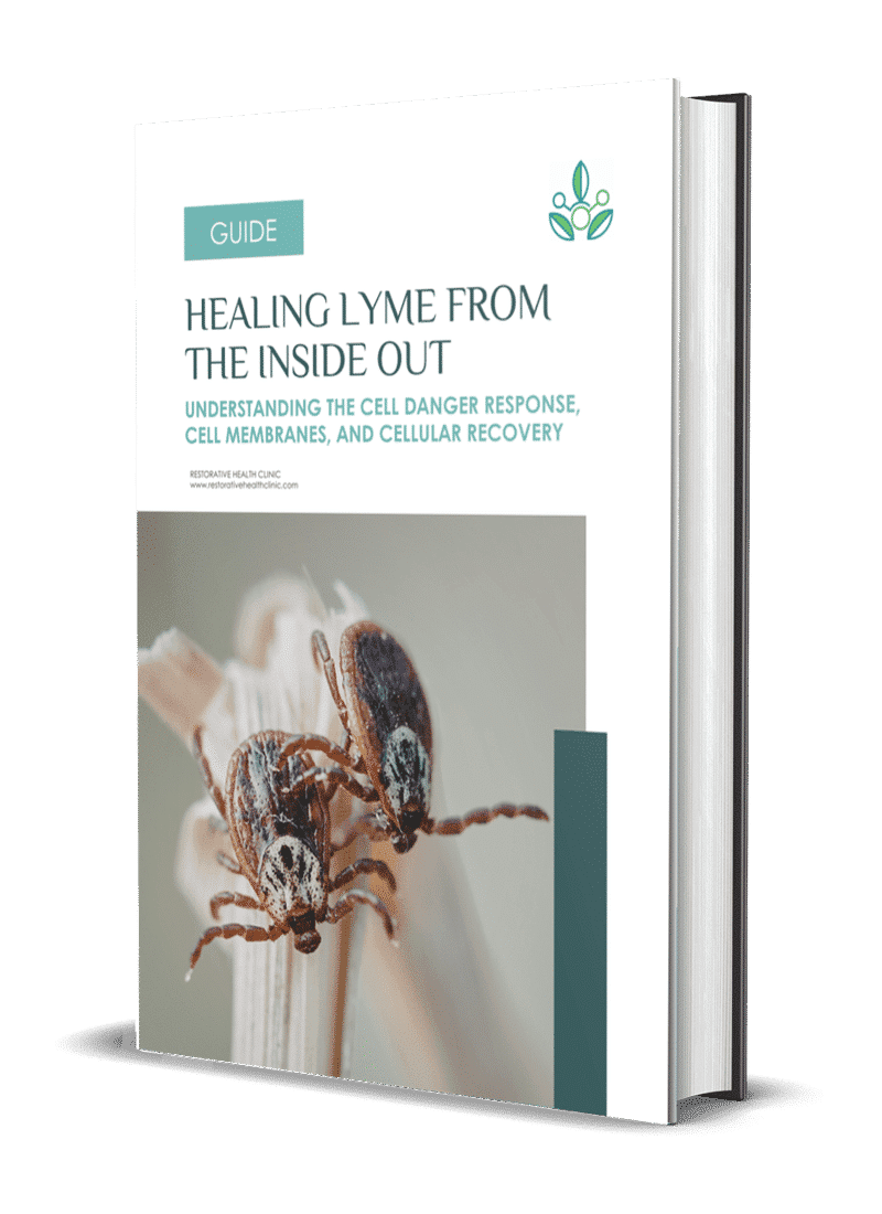 Healing Lyme From The Inside Out: Understanding The Cell Danger Response, Cell Membranes, And Cellular Recovery