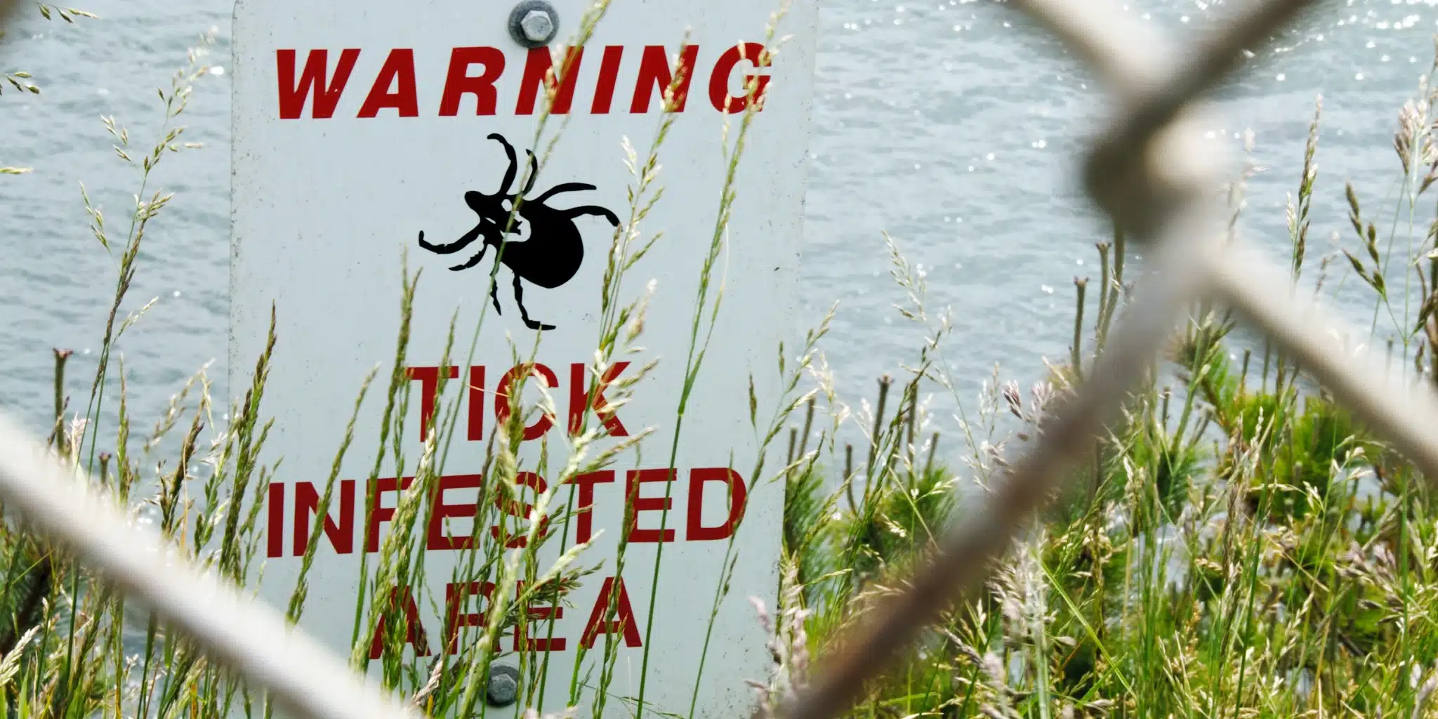 The Limitations of Lyme Disease Testing: Old Problems and New Solutions