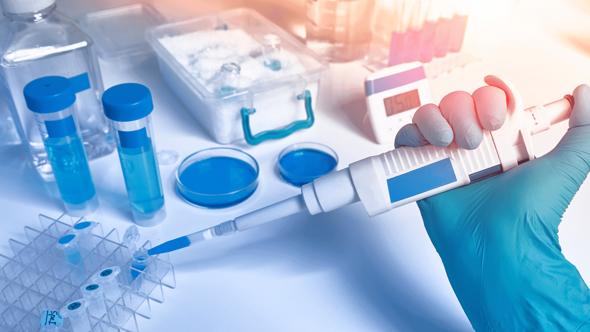 New Study Shows Gene-Edited Cells Could Reverse Heart Disease