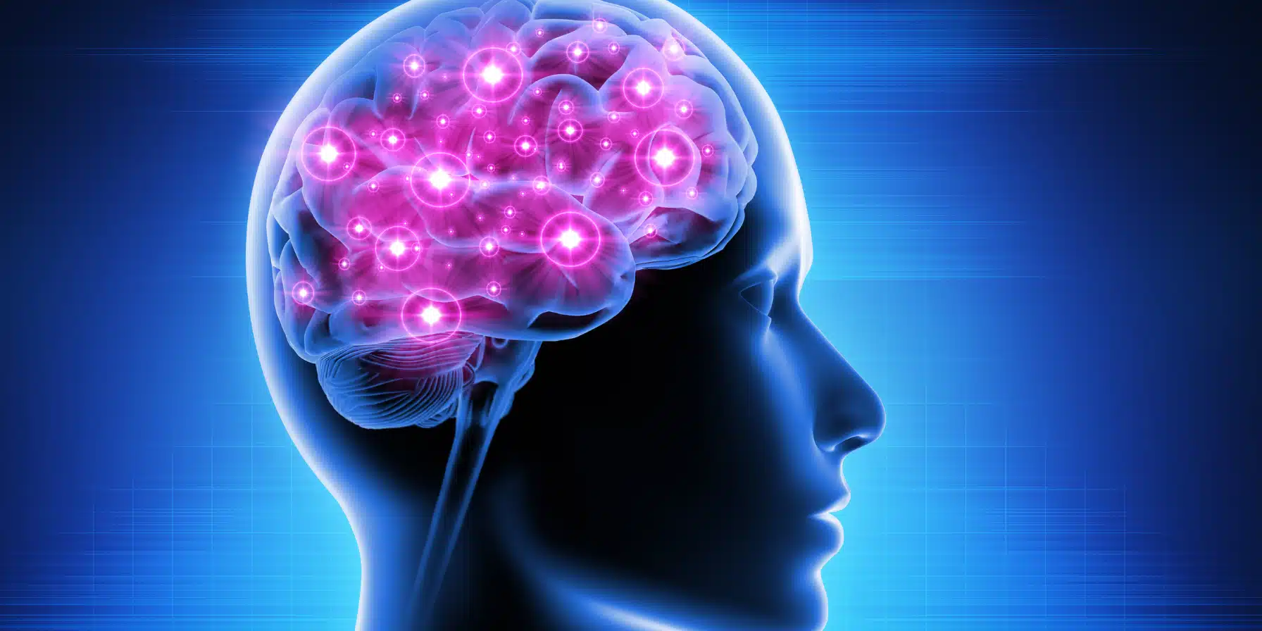 The Aging Brain – How Inflammaging Impacts Cognitive Function