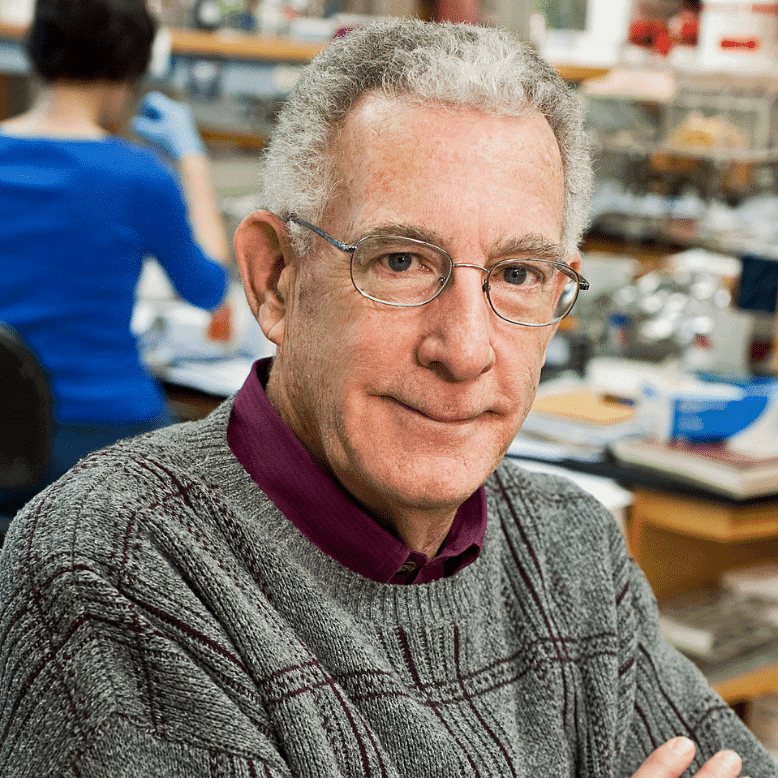 Thomas Seyfried - expert channel