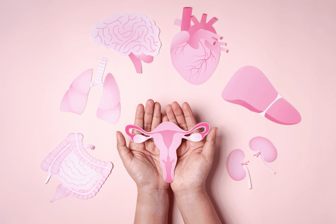 PCOS Guide: Symptoms, Causes, and Treatments