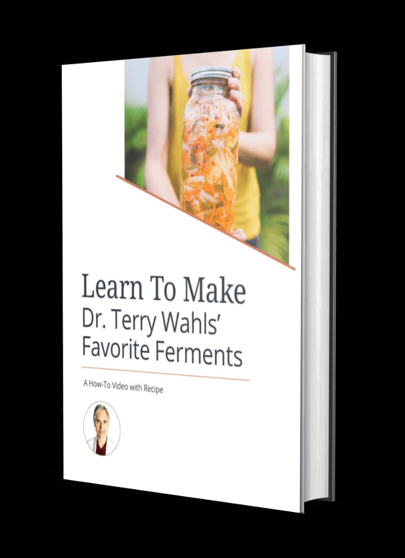 Wahls Ferments Recipes