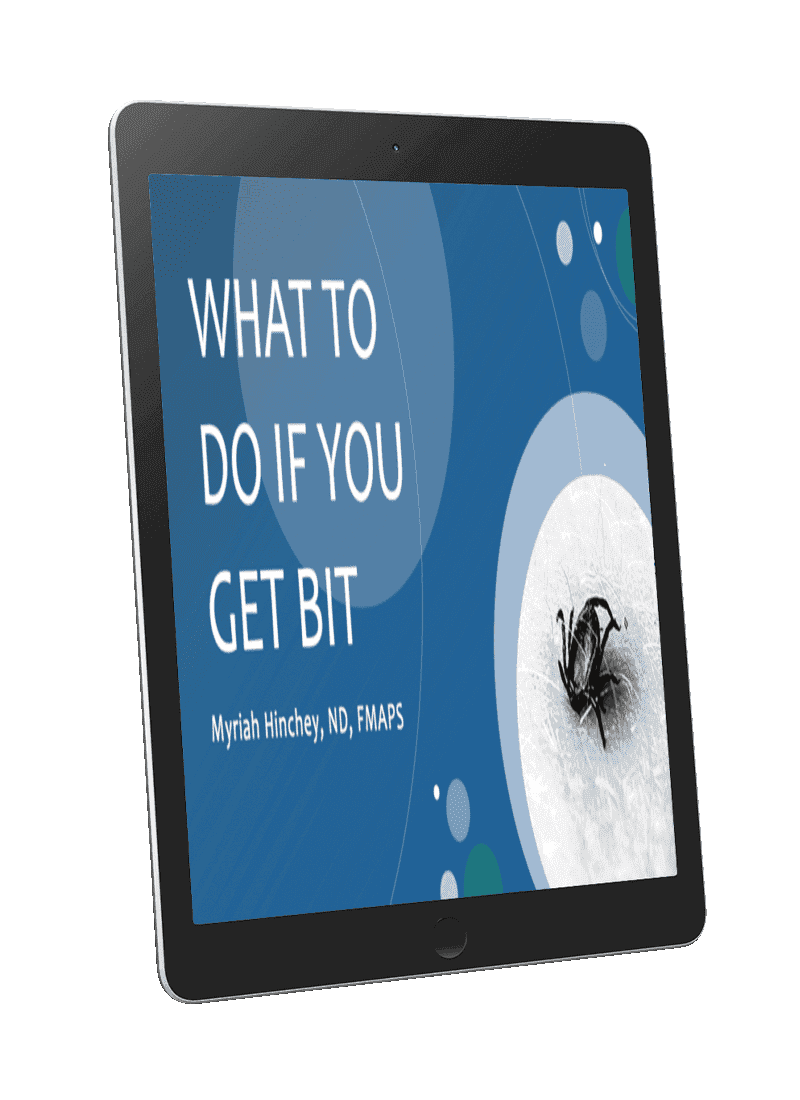 What To Do If You Get Bit