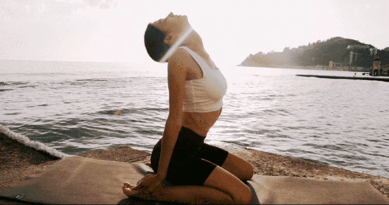 End Chronic Stress, Fatigue and Burnout: The Medicine of Mindset Summit