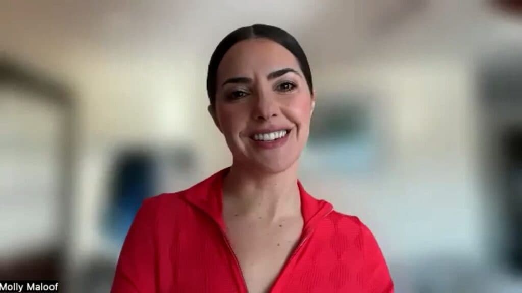 The Cell Danger Response: Why Healing Fails When the Body is Stuck in Survival Mode