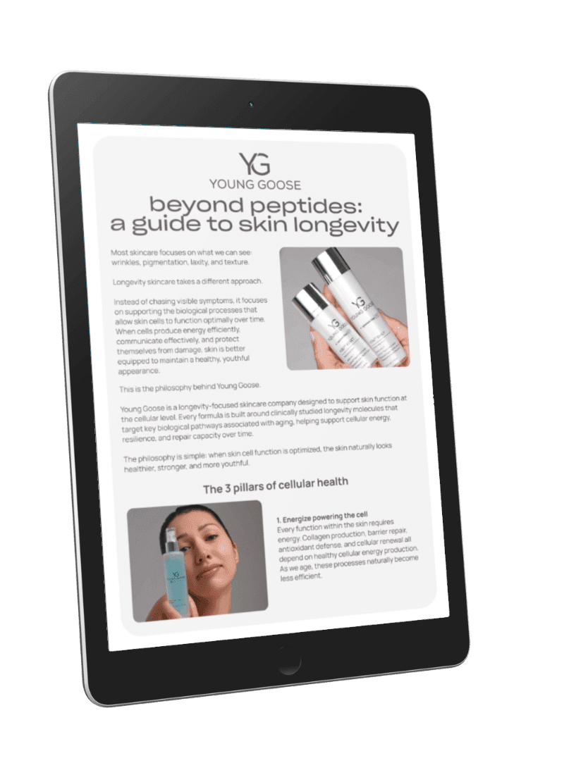 A Guide To Skin Longevity