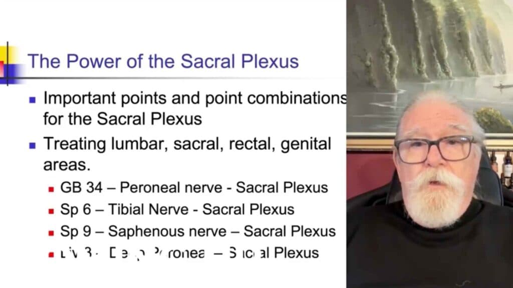 Electroacupuncture and the Brain: What the Science Shows