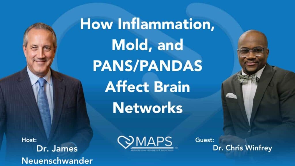 How Inflammation, Mold, and PANS/PANDAS Affect Brain Networks