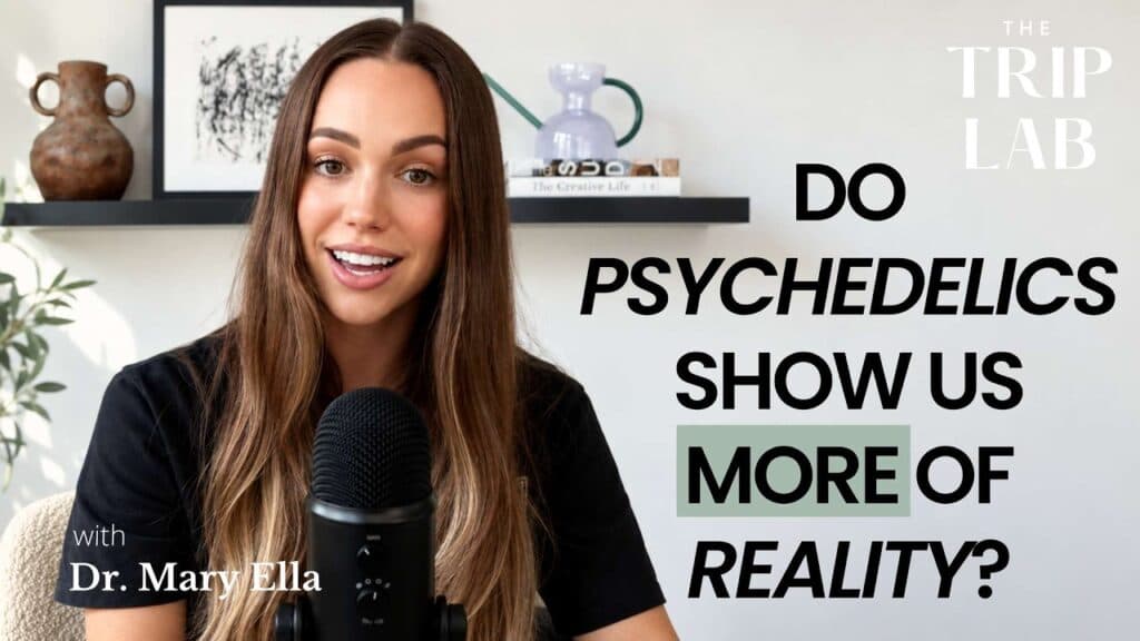 #39 – What if psychedelics show us MORE of reality?