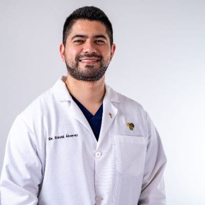 David Alvarez - expert channel