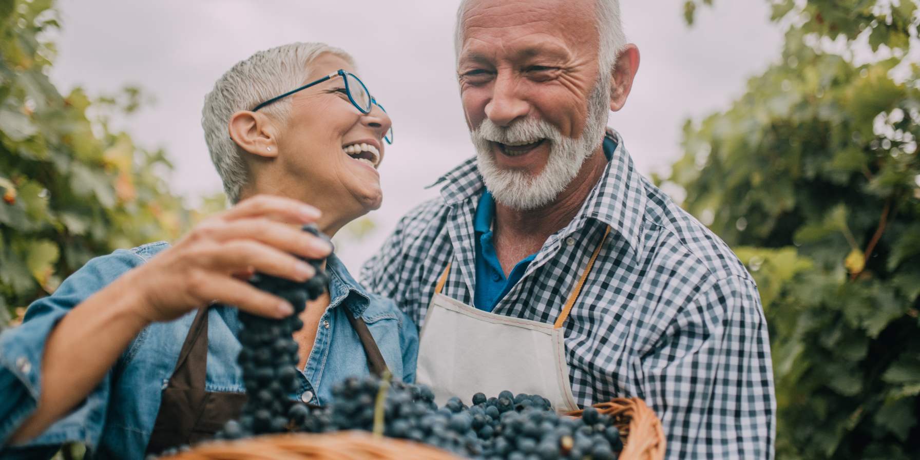 The Best Nutrition for Cognitive Function