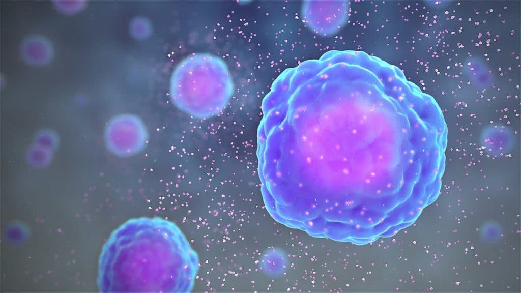 Mast Cell Summit