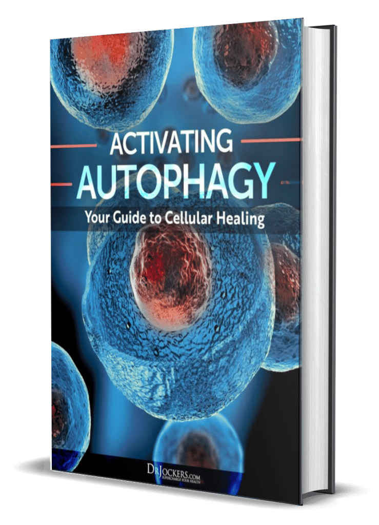 Activating-Autophagy-Cover-739×1024