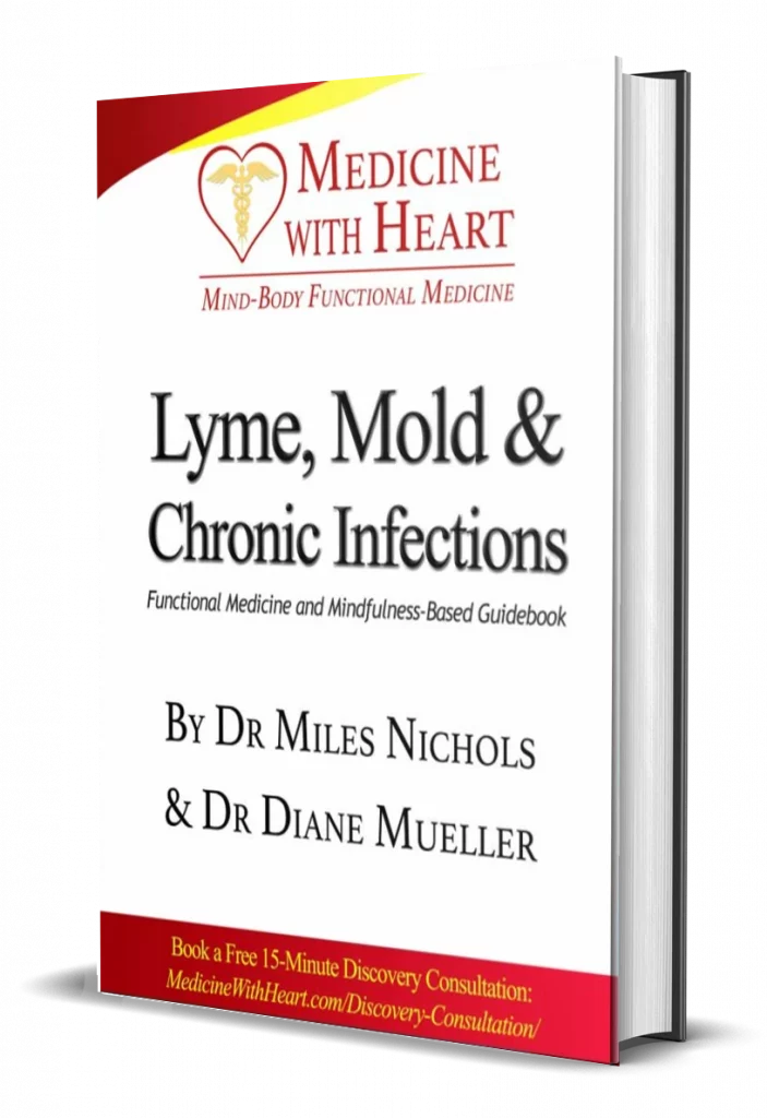 Lyme mold and chronic infection cover2