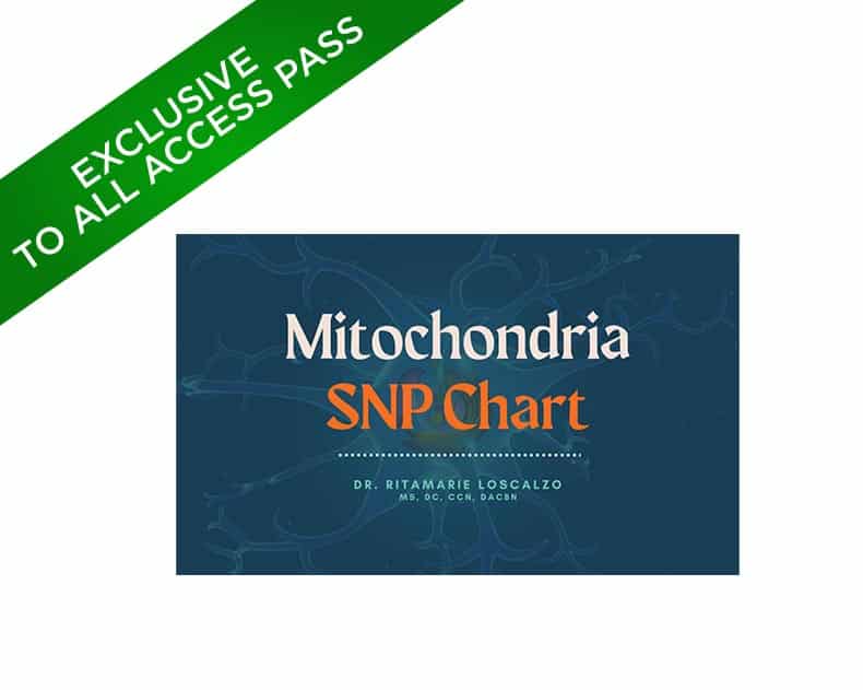 mitochondria snp chart VIP