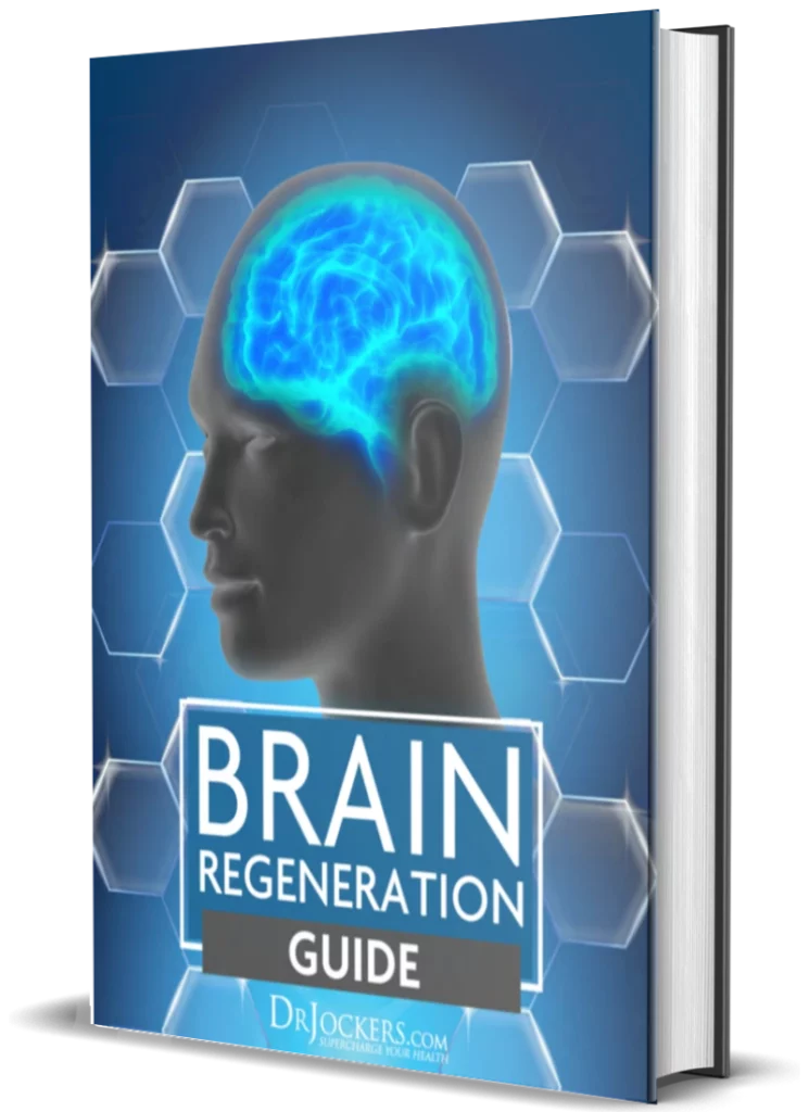 The Brain Regeneration Guide