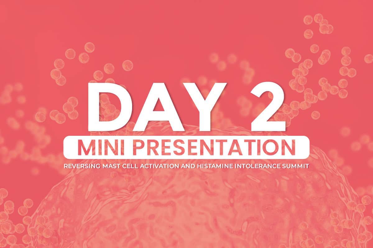 Mini-Presentation-Day-2