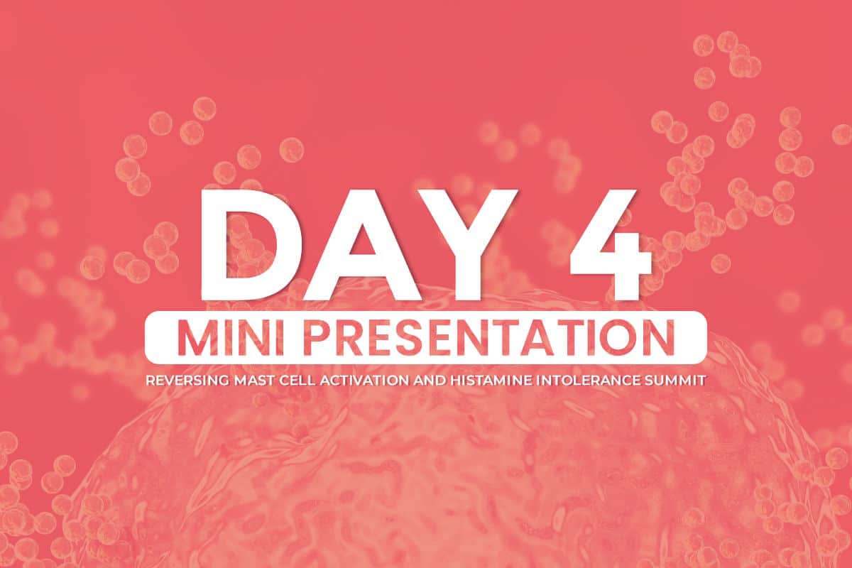 Mini-Presentation-Day-4