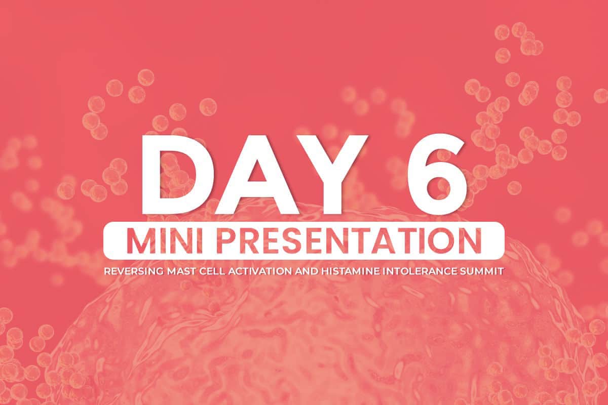 Mini-Presentation-Day-6