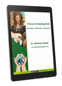 FREE access to 1st Module to Empowered Pet Parents Course