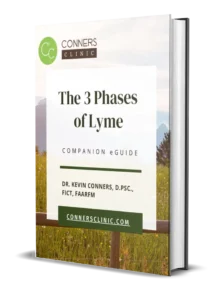 The 3 Phases of Lyme