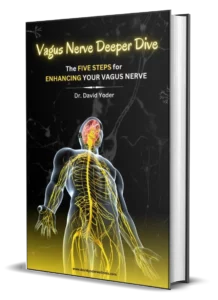 Vagus Nerve Deep Dive