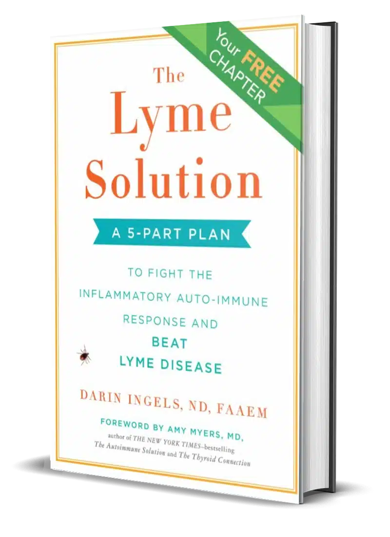 The Lyme Solution Chapter One Cover 1