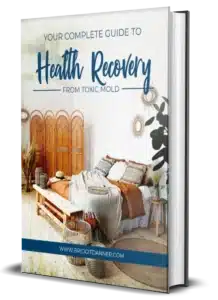 Toxic Mold Recovery Guide 218x300 1