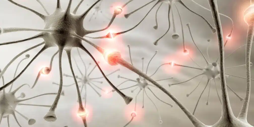 How neuroplasticity affects overall health