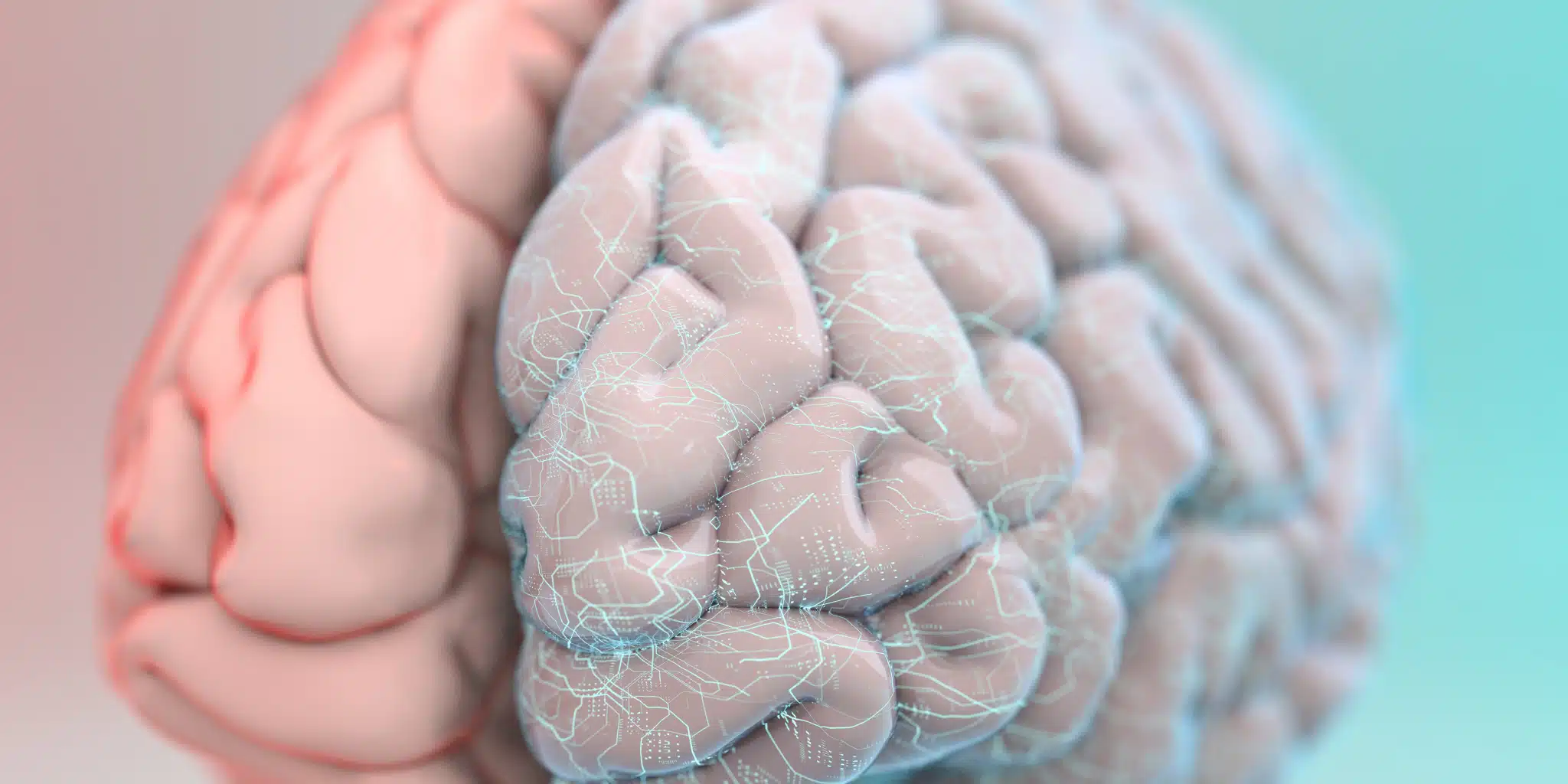 Neuroplasticity and Brain Retraining for Chronic Illness