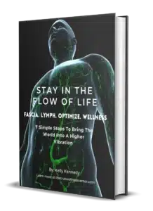 Stay in the Flow of Life E Book