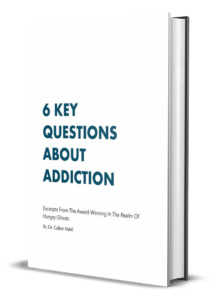 The 6 Key Questions about Addiction Cover