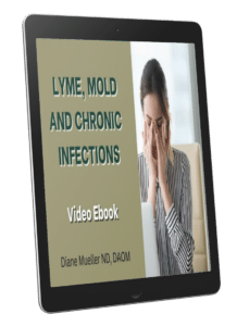 Lyme Mold and Chronic Infections