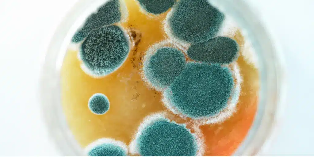 Physical Symptoms of Mold Exposure