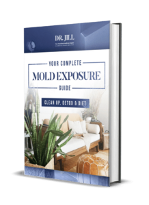 Your Complete Mold Exposure Guide Clean Up Detox Diet 1