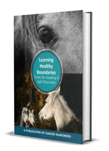 Learning Healthy Boundaries Tools for Healing Self Discovery