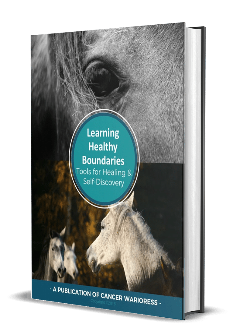 Learning Healthy Boundaries Tools for Healing Self Discovery