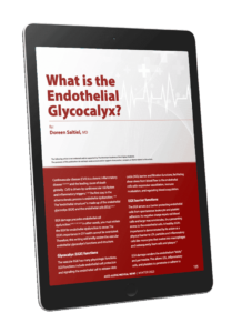What is the Endothelial Glycocalyx