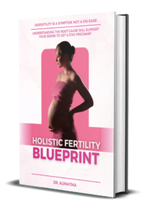 Holistic Fertility Blueprint Ebook