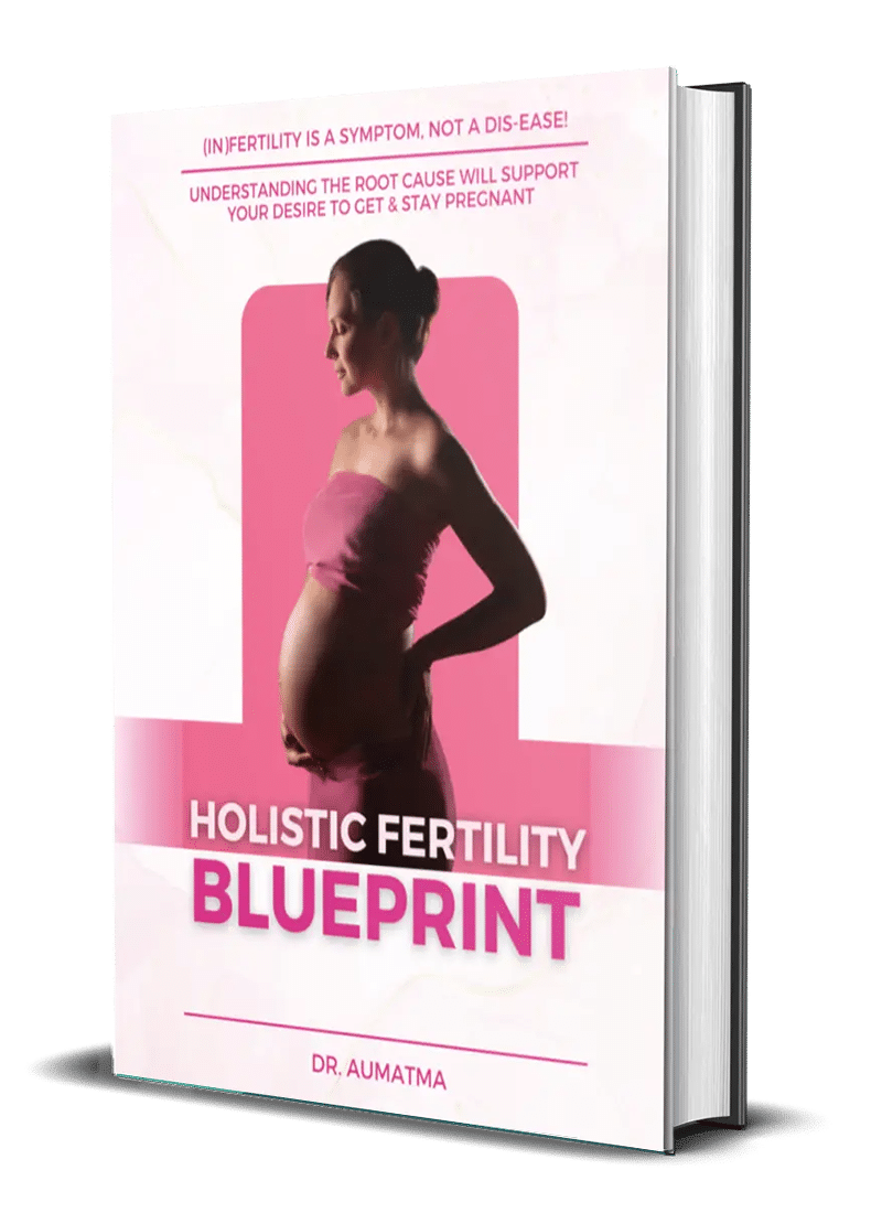 Holistic Fertility Blueprint Ebook