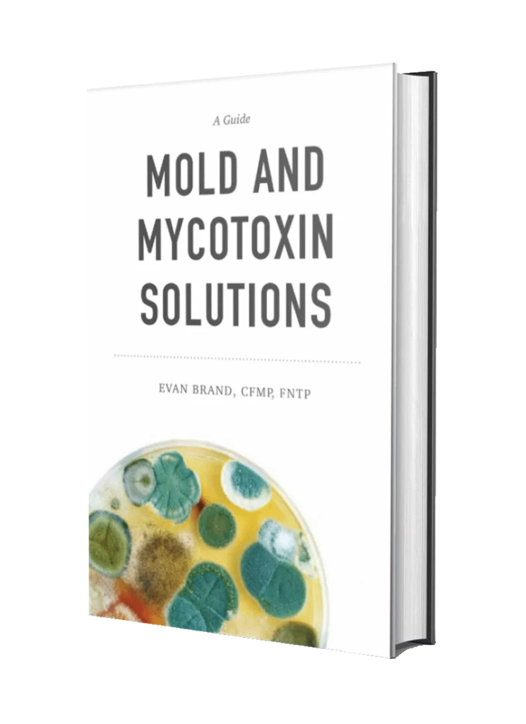 Mold And Mycotoxin Solutions (A Quick Start Guide)