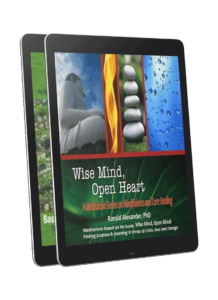 Two Meditation Albums from Dr. Ronald Alexander Wise Mind Open Heart Meditation and Mindful Meditations for Creative Transformation