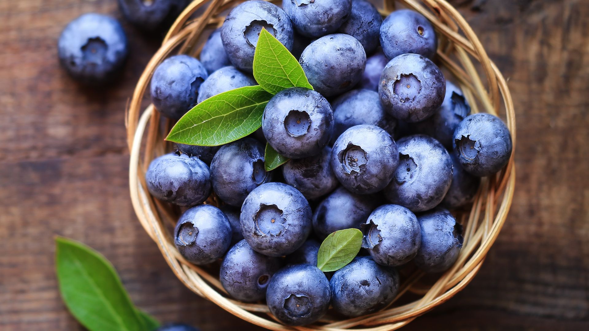 Blueberries are one of the Top 10 Foods for Optimal Gut Health